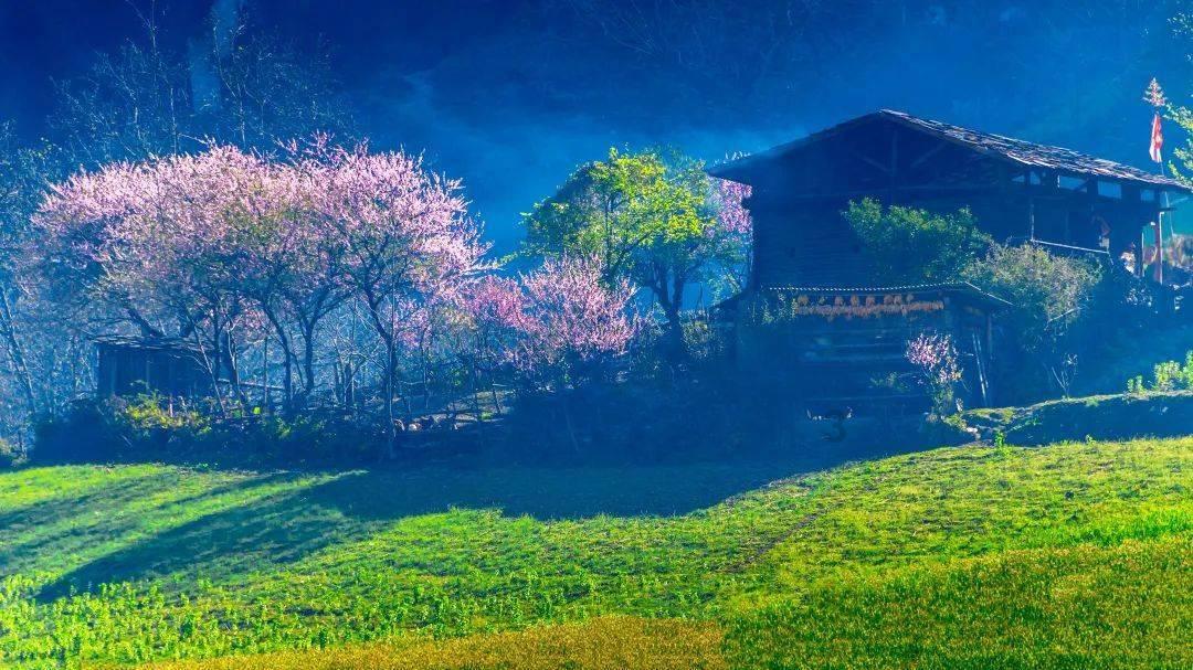 奇妙香蕉之旅