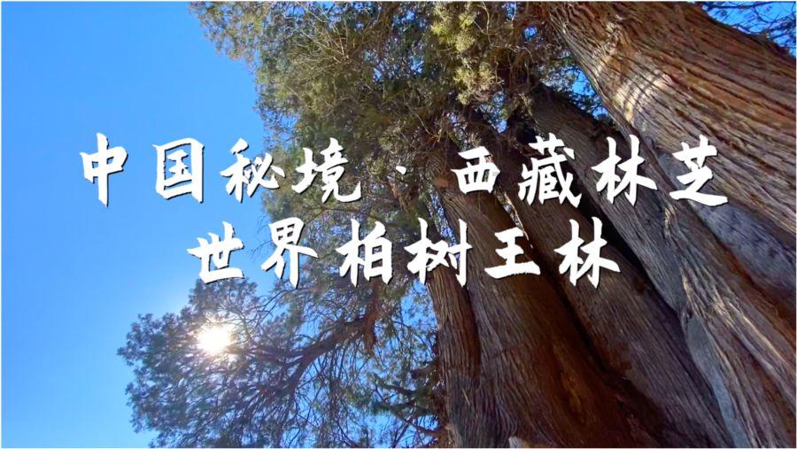 儿童画板涂色