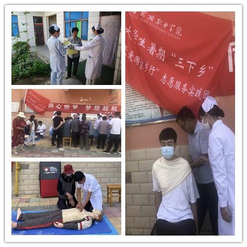 鸽子天麻汤怎么炖最营养游戏画面