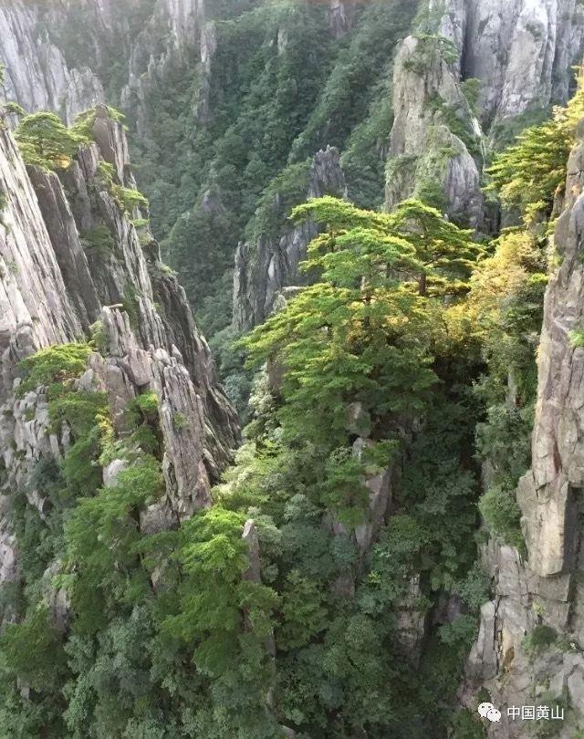 1992年,男孩被拐卖到河北,20年后养父大骂:养条狗都比你有感情